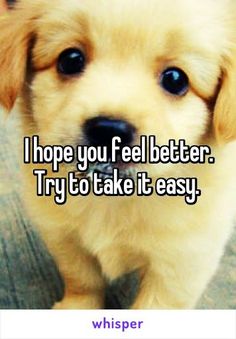 a puppy with the words i hope you feel better try to take it easy