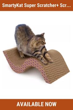 a cat sitting on top of a scratching mat with the caption, smartakt super scratcher scr available now