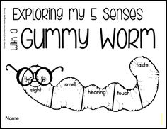 the very hungry caterpillar coloring page with words that read, exploring my sense and gummy worm