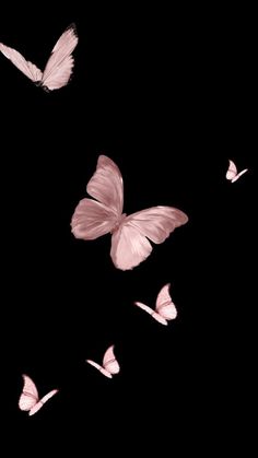 several pink butterflies flying in the dark