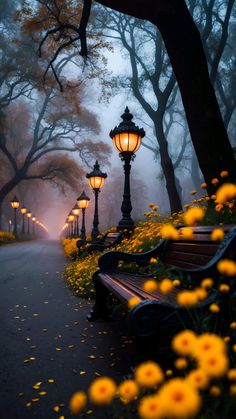 an empty park with benches and street lamps in the foggy night, surrounded by yellow flowers