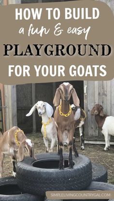 goats and goats playing in an old tire with the words how to build a fun & easy playground for your goats