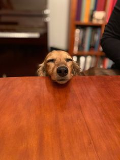 a dog is peeking over the edge of a table with his head resting on it