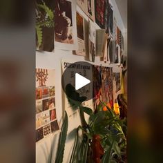 there is a wall with pictures on it and plants in the room next to it