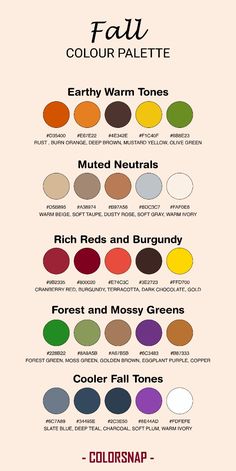 a poster with different colors and names for each type of paint color palettes are shown