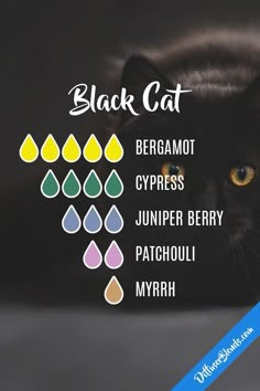 Essential Oils Cats