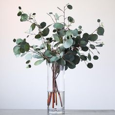 a vase filled with lots of green leaves