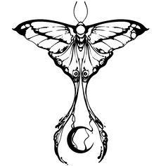 a black and white drawing of a butterfly with the letter c in it's wings