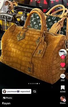 Sac Louis Vuitton, Luxury Bags Collection, Luxury Purses, Purse Accessories, Vuitton Bag