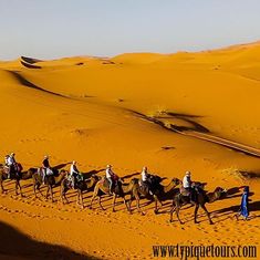 a group of people riding camels through the desert