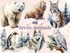 an image of arctic animals in watercolor and ink on paper with the title, 48 arctic animals