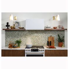 a stove top oven sitting inside of a kitchen next to a wall covered in plants