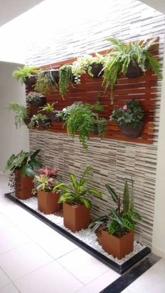 some plants are growing on a wall in a room with white tiles and tile flooring