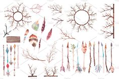 an assortment of feathers and branches on a white background