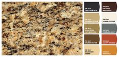 an image of a counter top that is color swatches for different types of granites