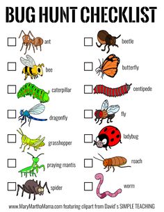 a bug hunt checklist with bugs and other insects