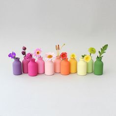 there are many different colored vases with flowers in them