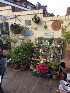 an outdoor area with potted plants and other things on the wall, including a ladder