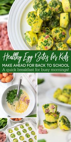 healthy egg bites for kids make and eat back to school