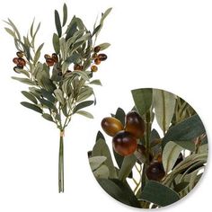 Dimensions (Varies Upon Shaping): 16.25" H x 6.75" W x 6.75" D Plant Type: Olive Material: Fabric, Foam & Plastic Color: Green, Brown & Black Care & Safety: Indoor Use Only Quantity: 1 Freshen your home with natural arrangements—no watering required! This magnificent Mini Olive Leaf Bundle features three plastic stems with woven leaves and foam olives in black and brown colors. Place it in a vase with other bunches to complete an elegant home display. Natural Arrangements, Olive Decor, Pew Decorations, Floral Arrangements Diy, Floral Branch, Elegant Home, Olive Leaf, Olive Branch, Greenery Wedding