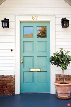 a potted plant sitting in front of a blue door