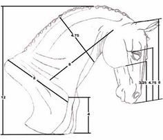 a drawing of a horse's head with measurements