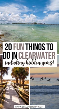 the beach with palm trees and birds flying in the sky, along with text overlay that reads 20 fun things to do in clearwater including hidden gems