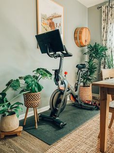 an indoor exercise bike with potted plants on the floor