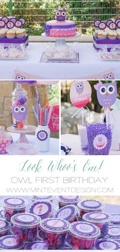 an owl themed birthday party with cupcakes and candy