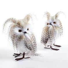 two small owls standing next to each other on top of a white surface with long hair