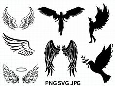 the silhouettes of different types of wings