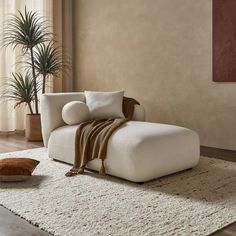 a white couch sitting on top of a rug in a living room next to a potted plant