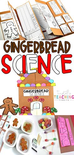 the gingerbread science kit is open and ready to be used