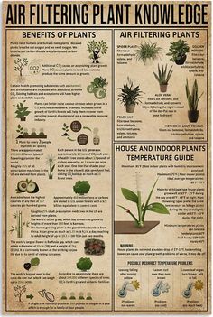 an old poster shows the different types of houseplants and how to use them