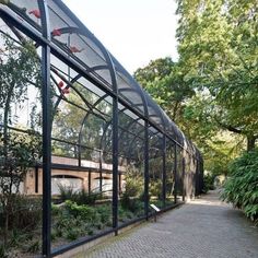 the walkway is lined with plants and trees