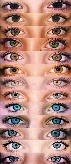 Different Colour Eyes People, Pair Of Eyes Photography, Cognac Eyes Color, Pair Of Eyes Drawing, Fantasy Eye Color, Pretty Eyes Color, Eye Colours, Eye Color Chart, Halloweenský Makeup