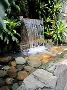 there is a small waterfall in the middle of some rocks and plants on the other side