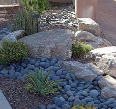 a rock garden with plants and rocks in the foreground, along side a building