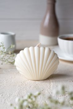 a white shell sitting on top of a table next to cups