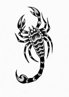 a black and white scorpion tattoo design