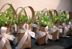 many small bags with plants in them are on the table and ready to be used as favors