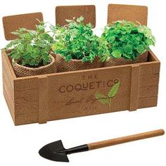 the coquetco planter is filled with plants and has a shovel in it