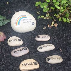 some rocks that have been placed in the ground for someone to put on their stepping stones