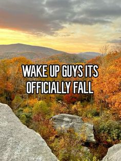 the words wake up guys it's officially fall in front of an autumn scene