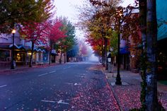 an empty street in the fall with leaves on the ground and trees lining both sides