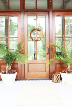 two potted plants sit in front of a wooden door with glass panes on the side