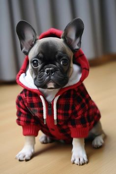 a small dog wearing a red and black plaid shirt with hoodie sitting on the floor