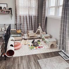 a cat is sitting on the floor next to some toys