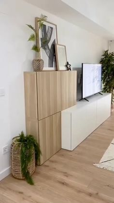 a living room with white walls and wooden flooring, plants on top of the entertainment center