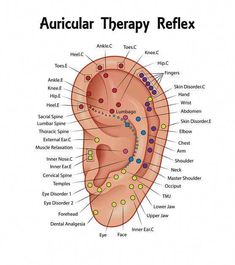 And here's what it <i>actually</i> feels like when the needles go in. Ear Acupressure Points, Piercing Designs, Medical Qigong, Ear Seeds, Piercing Chart, Point Acupuncture